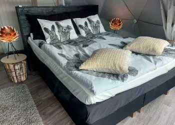 Maja Luxury